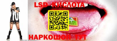 меф VHQ Заводоуковск