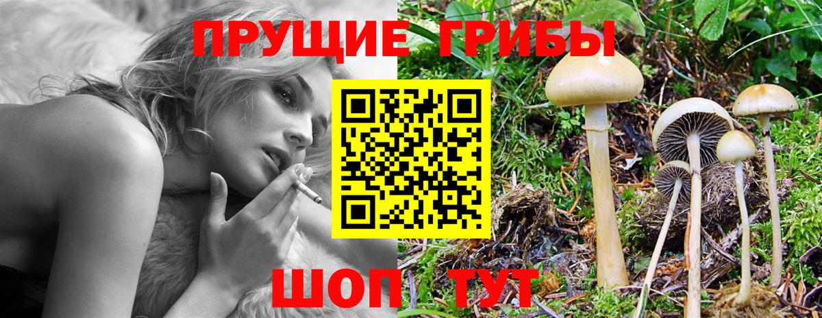 Псилоцибиновые грибы ЛСД Муравленко