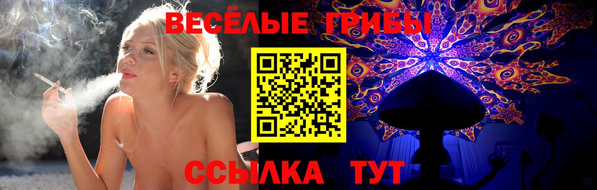 Муравленко  где купить наркоту  Вход с VPN  Галлюциногенные грибы мухоморы 